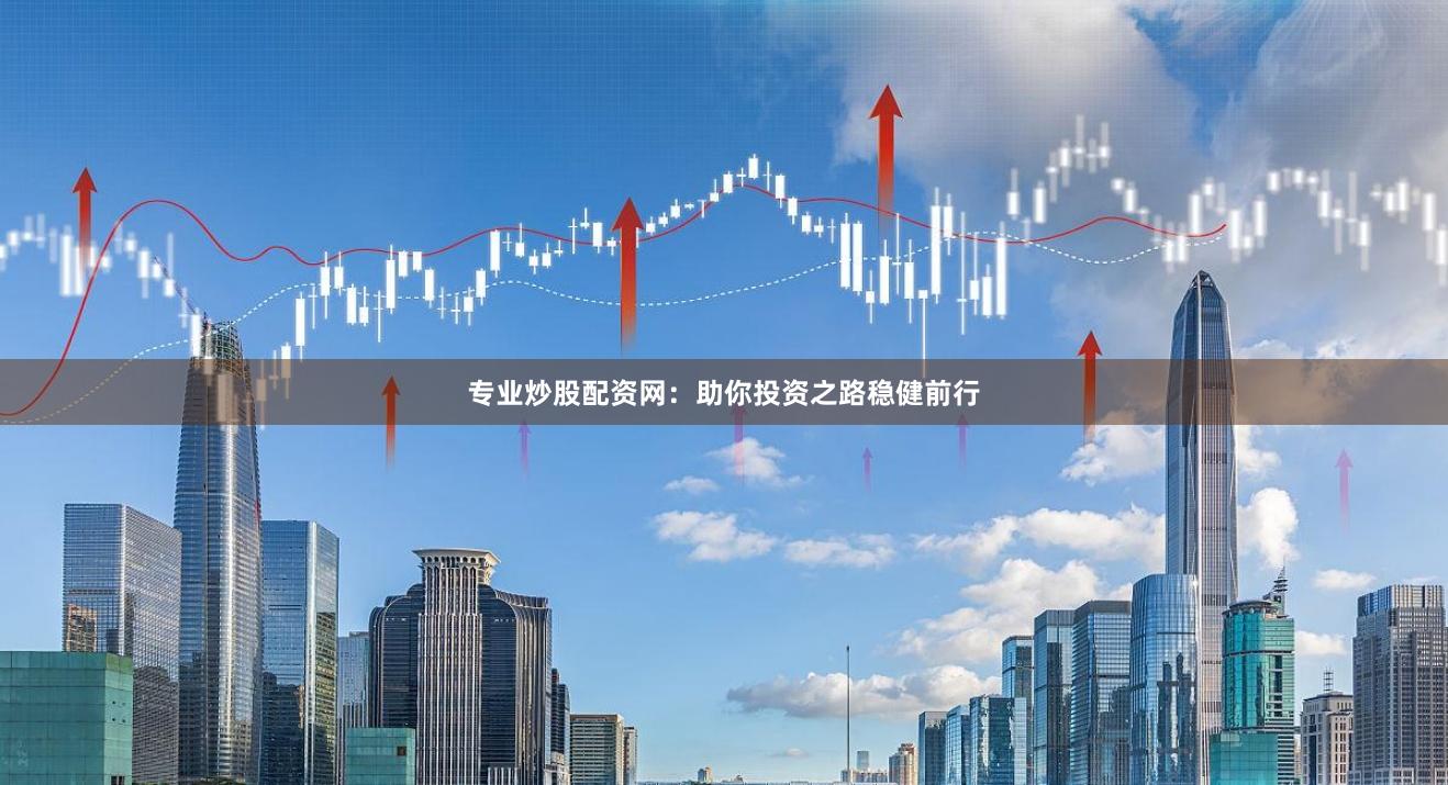 专业炒股配资网：助你投资之路稳健前行