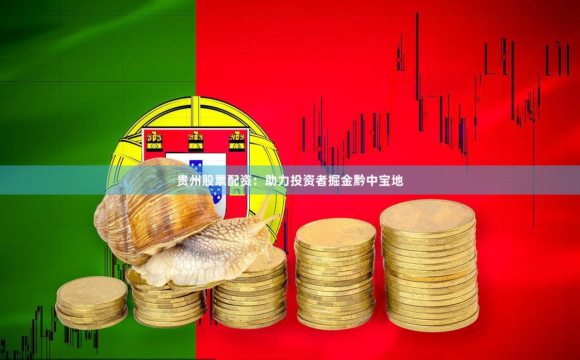 贵州股票配资：助力投资者掘金黔中宝地